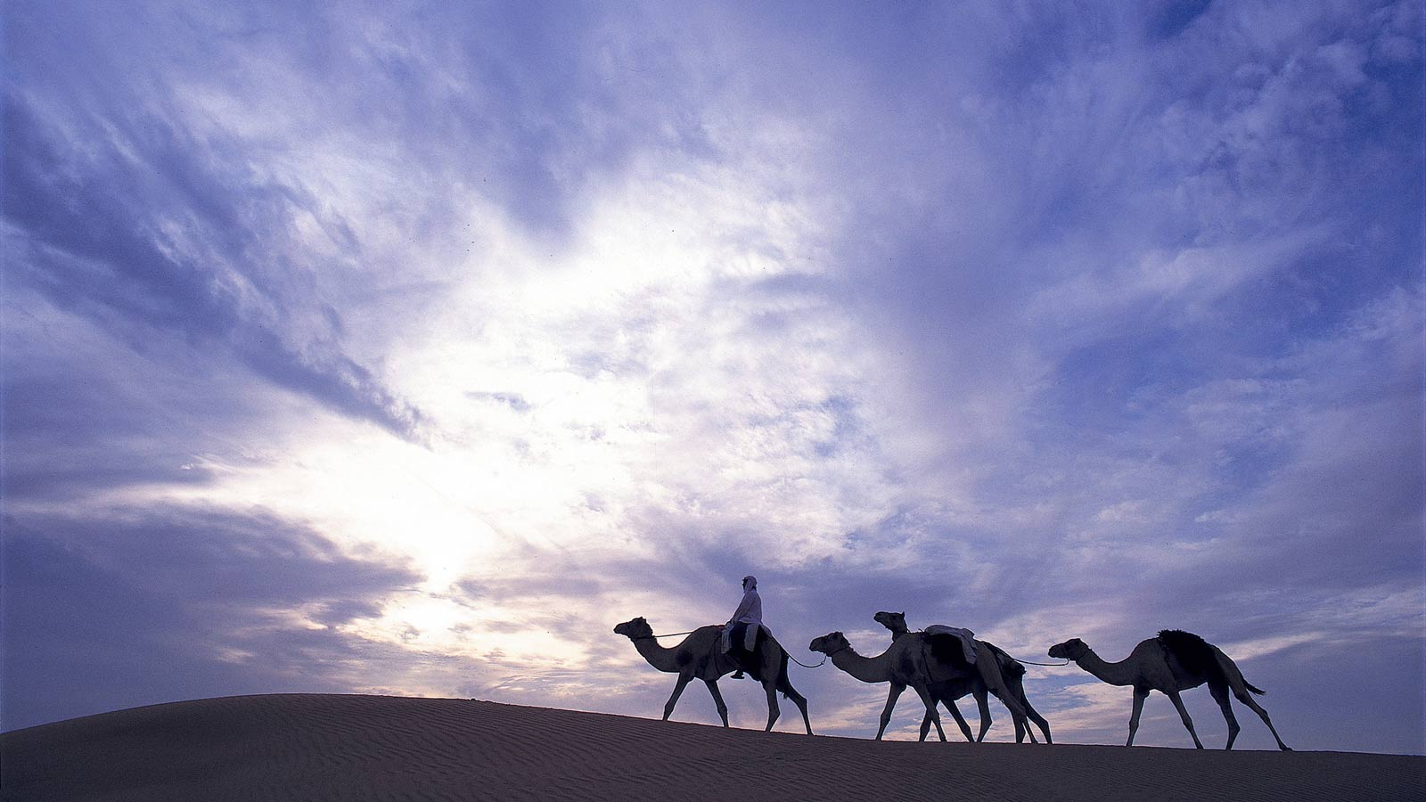 Camel Trekking